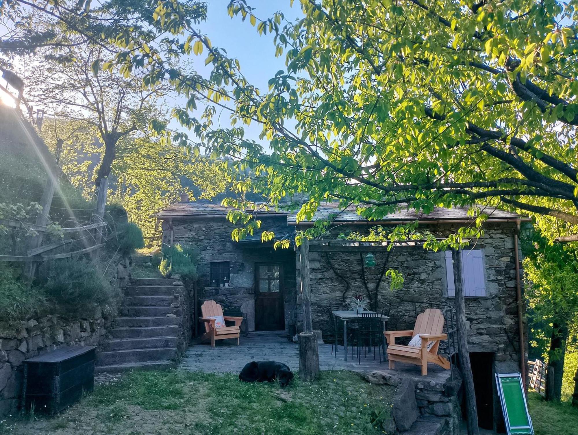 Апартаменты Casa Millin Борцонаска Экстерьер фото
